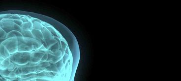Neurobiologie podivuhodných myslí